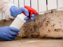 Trusted Wellsville, UT Mold Removal Services Experts